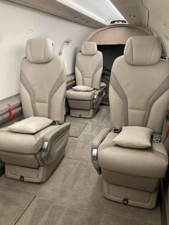 Aircraft leather after cleaning and conditioning